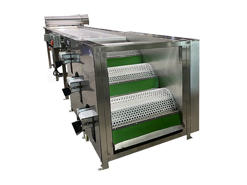 blueberry grading machine